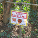 Illustration for article titled Inside Japans Squirrel Gardens. Yes, Squirrel Gardens!
